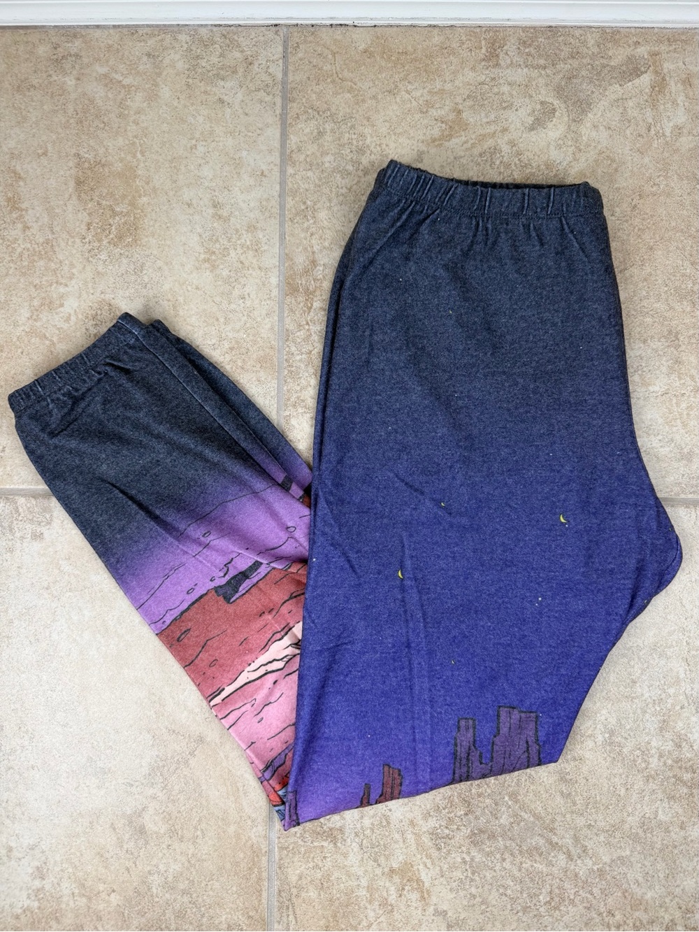 Wildfox Johnny Rocket Knox Pants